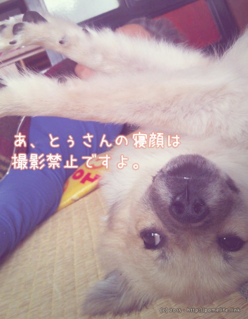 撮影禁止ですよ。