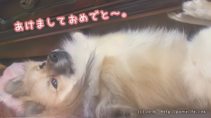 あけましておめでと～。