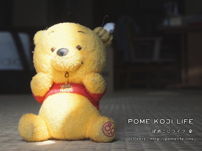 ぽめこじの友だち